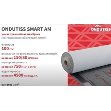 Ондутис Smart AM