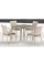 Комплект плетеной мебели T256C/Y376C-W85 Latte (4+1) + подушки на стульях