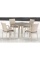 Комплект плетеной мебели T257C/Y376C-W85 Latte (4+1) + подушки на стульях