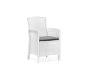 B:rattan