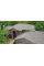 Windsor XL Natural wood